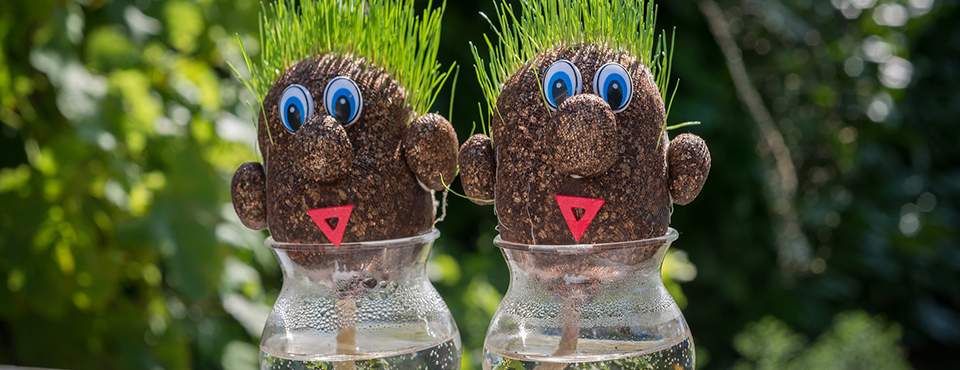Lead nurturing
