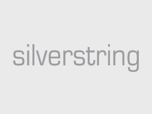 Case Study: Silverstring